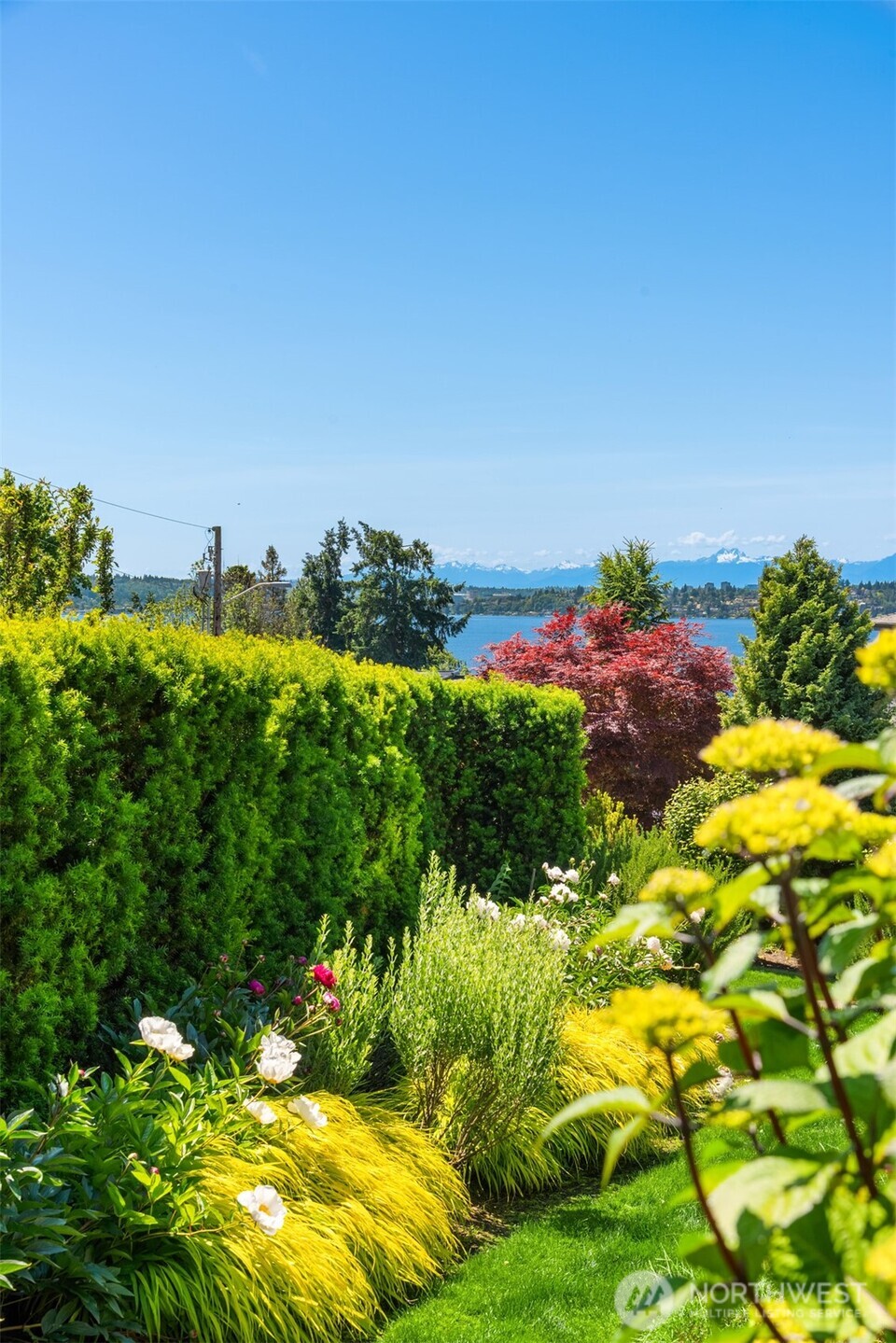 Garden with a view