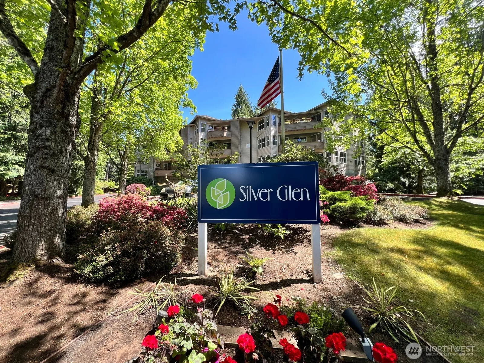 Welcome to Silver Glen