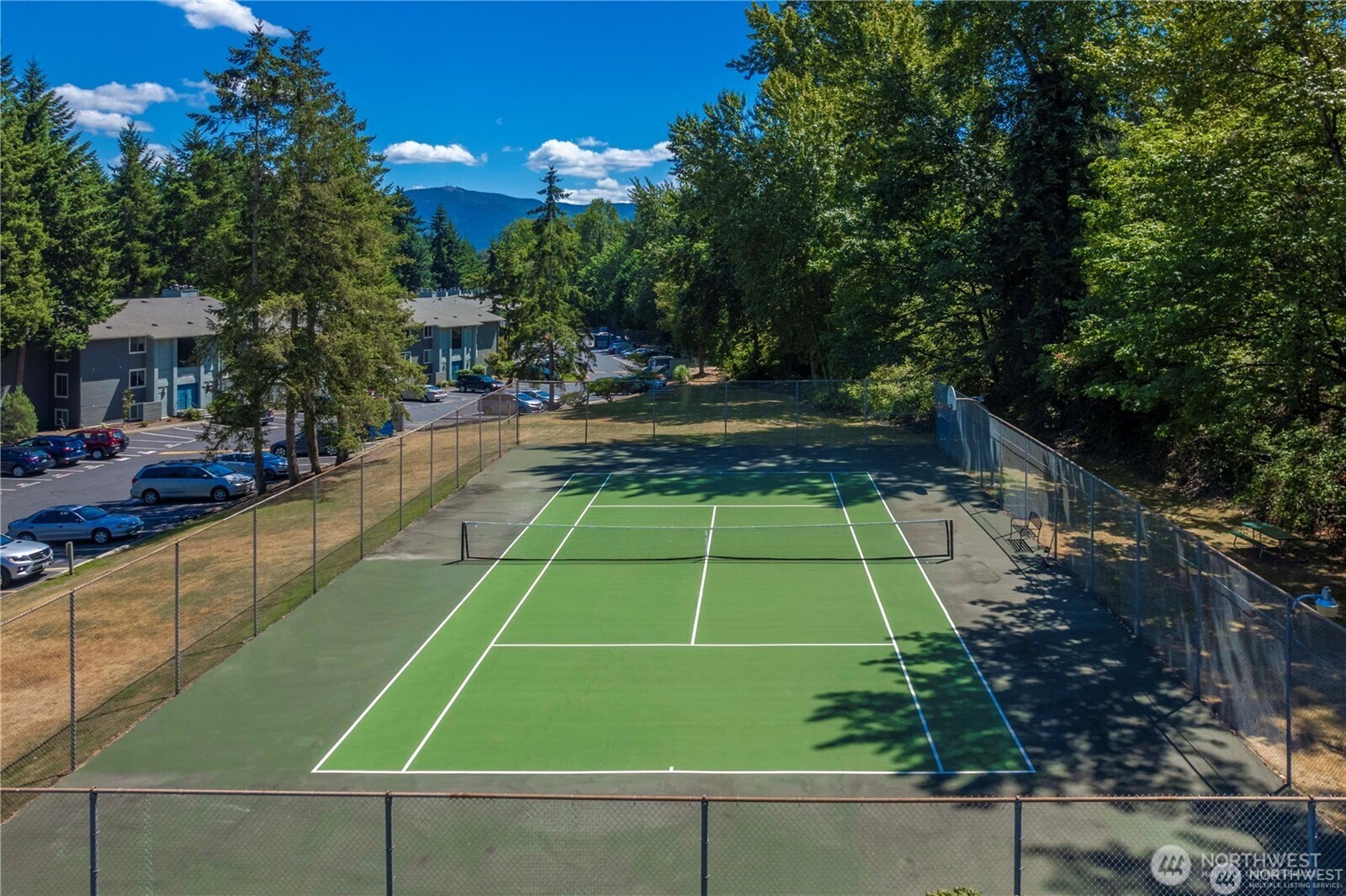 Tennis anyone?