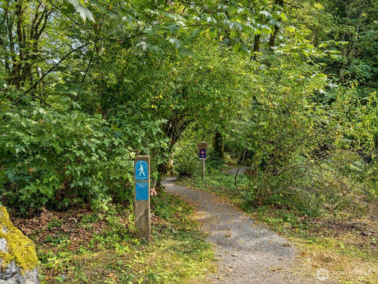 Steps away from trail head to Cougar Mountain Regional Wildland Park, the "Gem" of King County's 30,000 acre park system and located in the "Issaquah Alps". The Park preserves important wildlife habitat while offering ample opportunities for recreation.