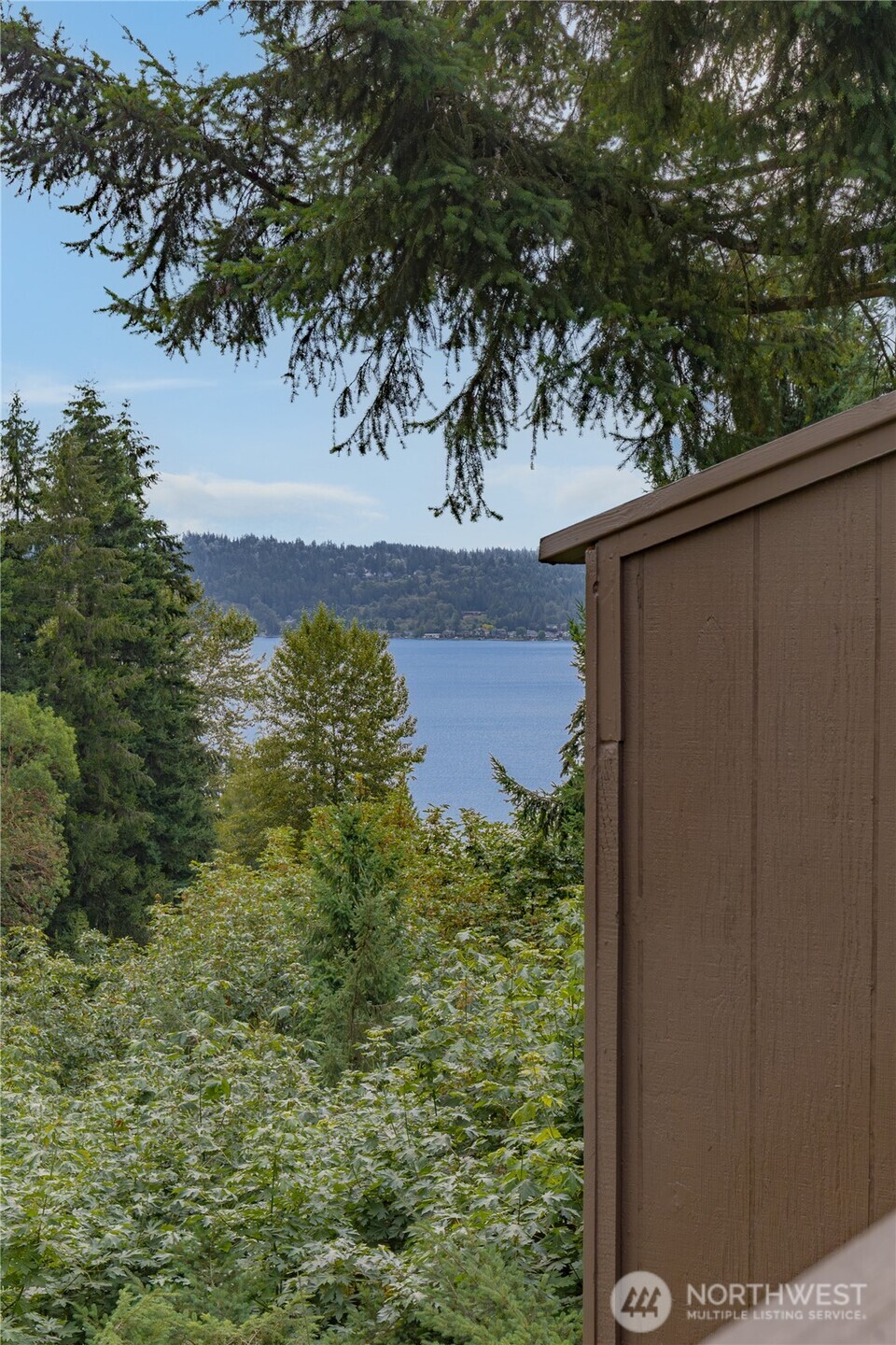 Filtered water and treetop views.