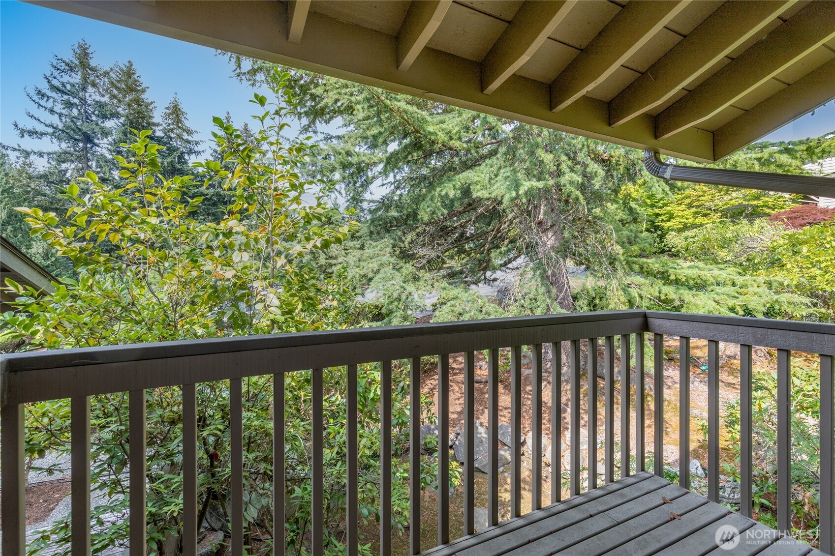 Wide deck under cedar beams, made for summer evenings.