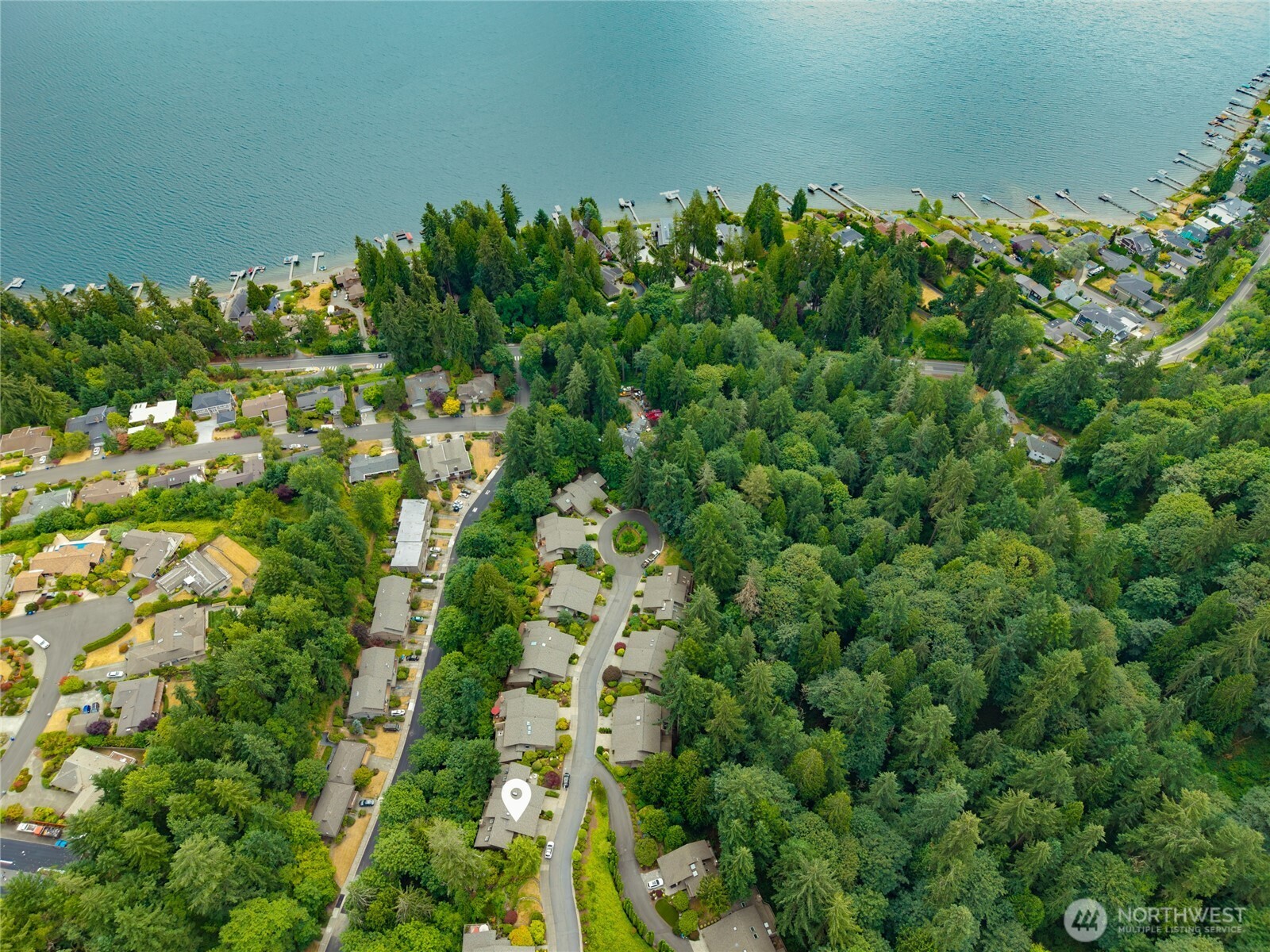 Tucked away into the trees above Lake Sammamish.