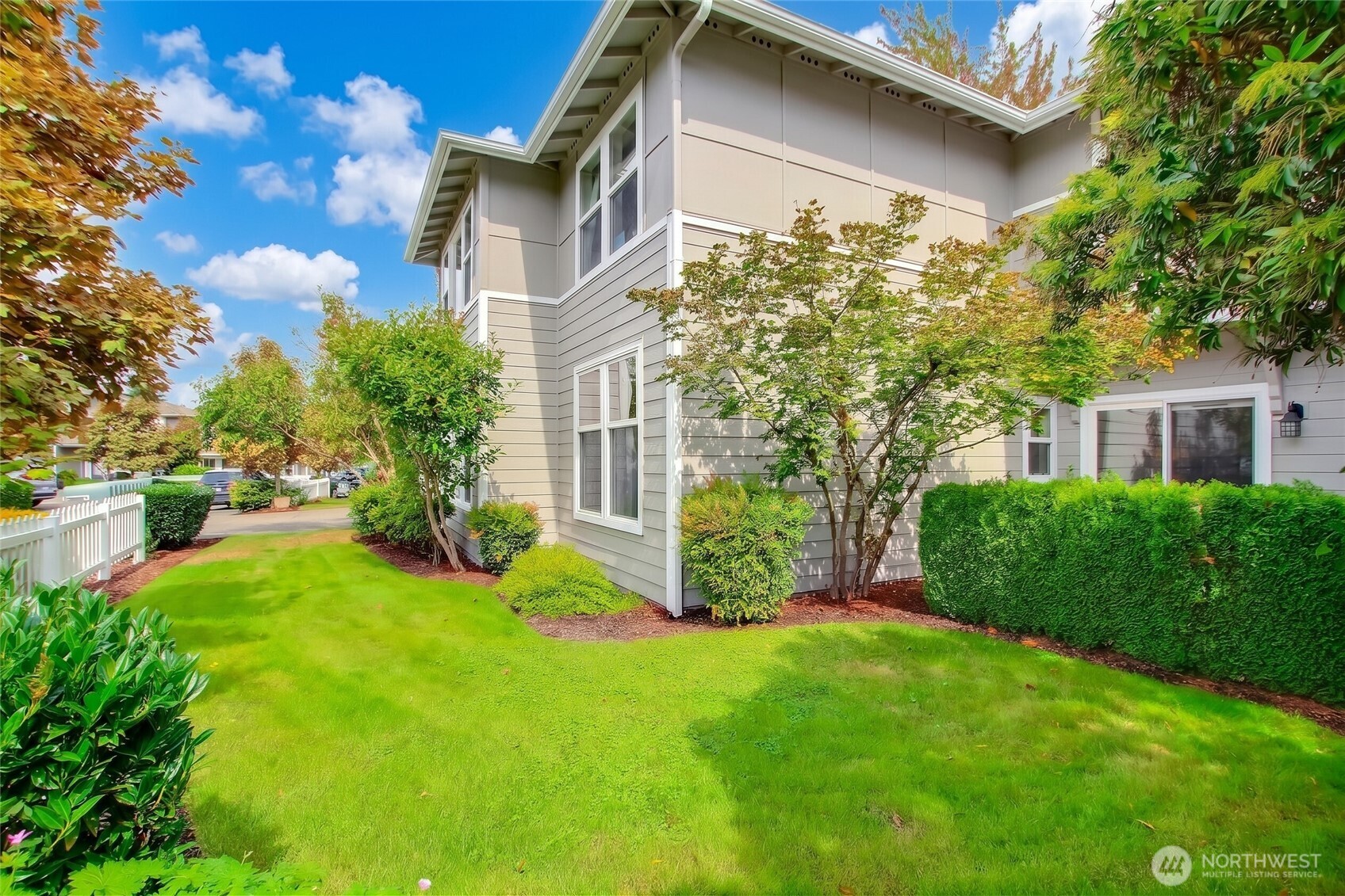 Front lawn and garden