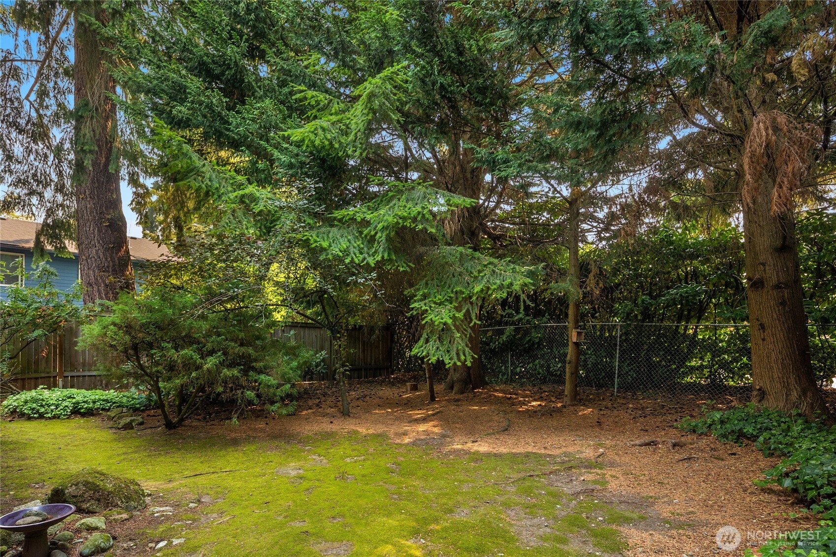 Looking out from the patio.