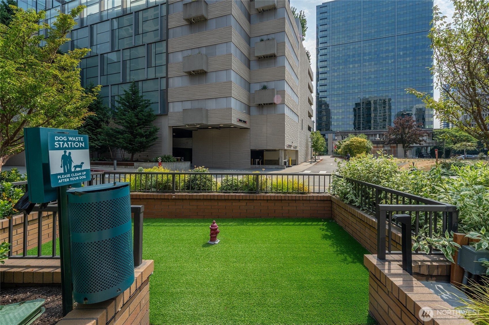 Outdoor dog area