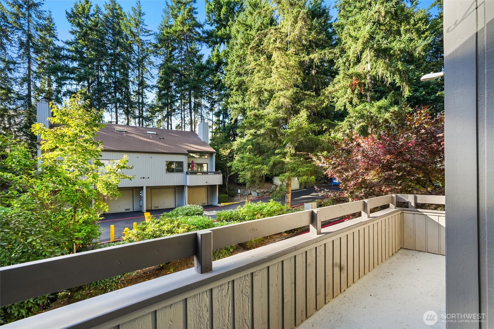 Quiet, private patio space with tree-lined backdrop and lattice screen