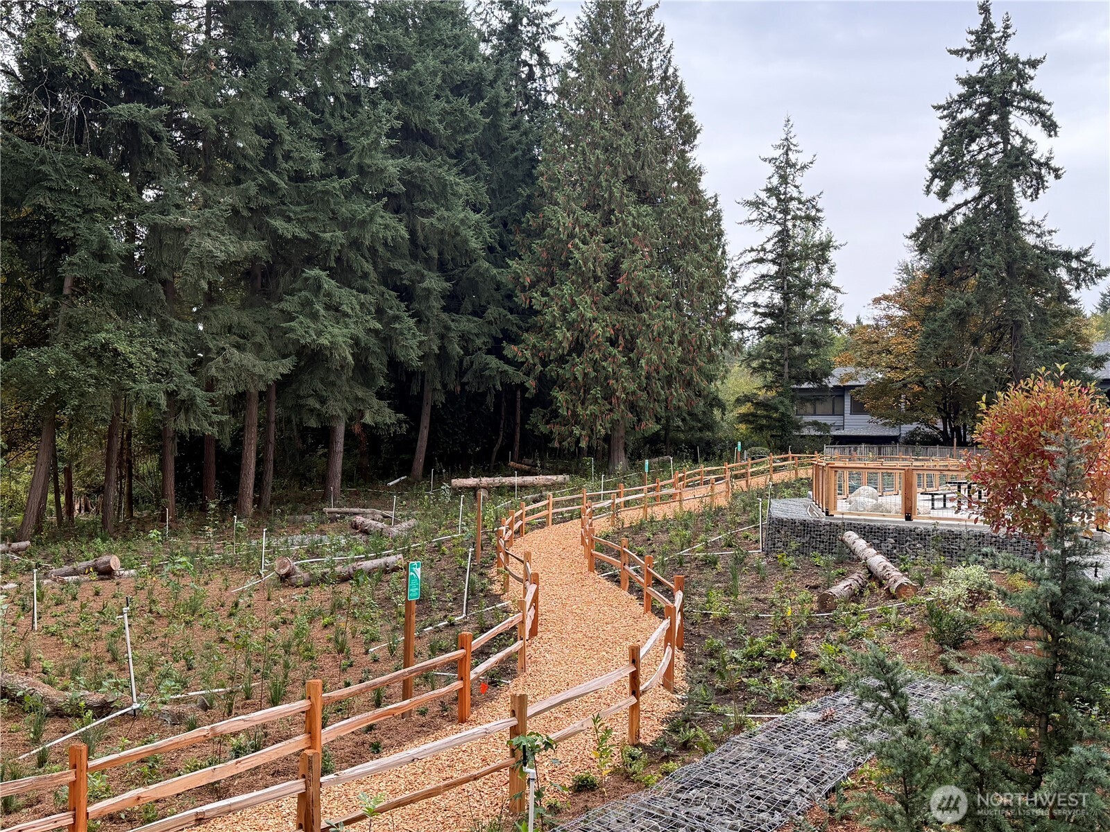 Private trail within the community native green space.