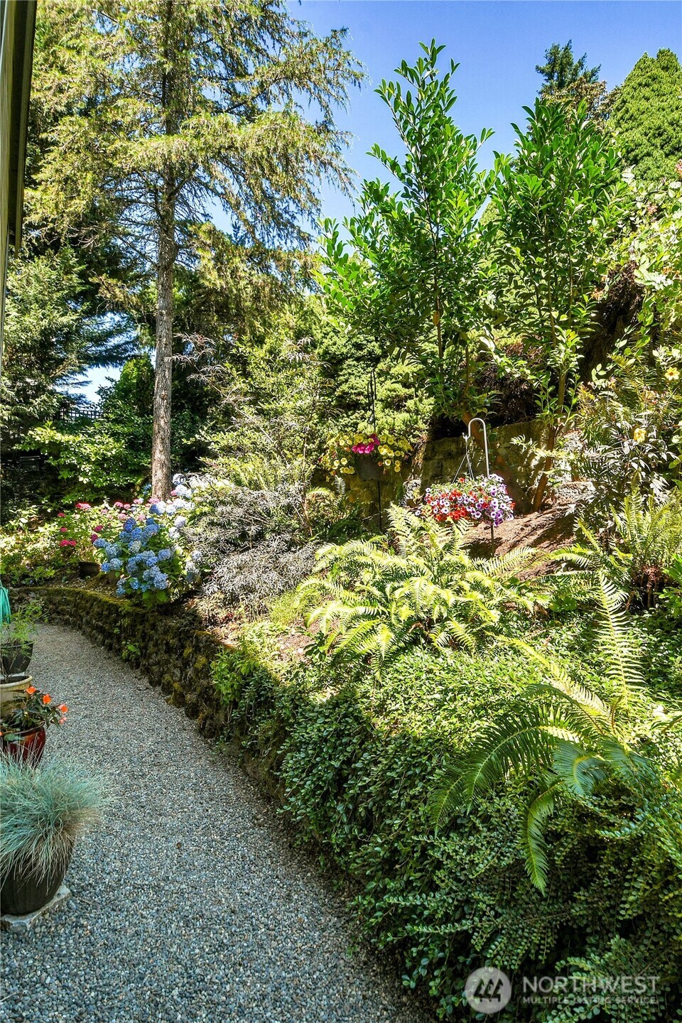 Arboretum-framed path to back patio.